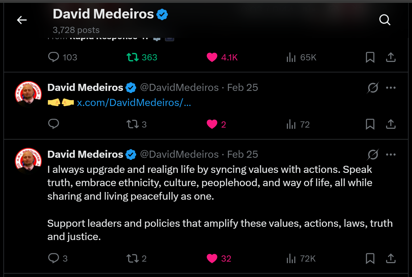 medeiros-livewire-whistleblower-evidence-holding-mayor-tom-devivo-windham-council-accountable-willimantic-footbridge-closure-david-medeiros-2026-04-14-081742-seq-0119.png